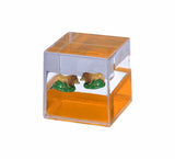Oily Water Cubes Aussie Gifts Souvenirs Paperweights Coloured Liquid with Floaters - fair-dinkum-gifts