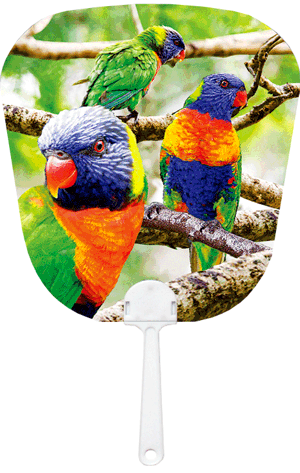 3D Fan Aussie Animals Australian Themes Souvenir Fans - fair-dinkum-gifts