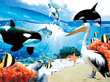 3D Placemats Pack of 2 Australia 3D Lenticular Printed Aussie Animals Wildlife Designs - fair-dinkum-gifts