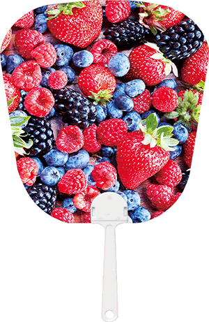 3D Fan Aussie Animals Australian Themes Souvenir Fans - fair-dinkum-gifts