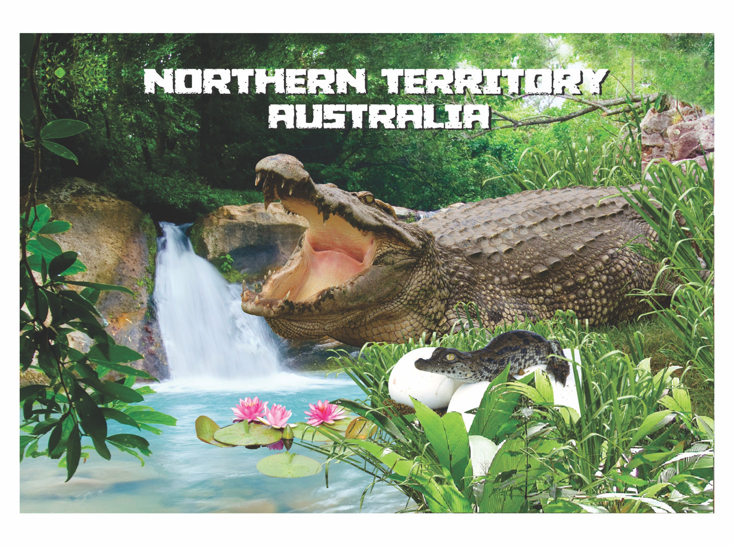 Microfibre Teatowels Australian Designs