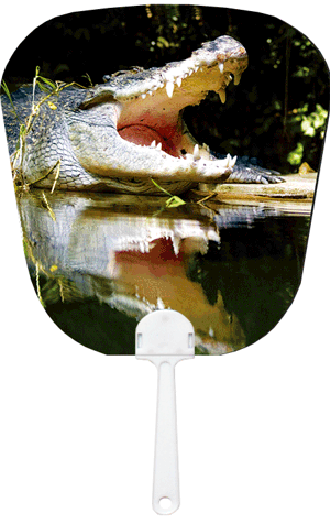 3D Fan Aussie Animals Australian Themes Souvenir Fans - fair-dinkum-gifts