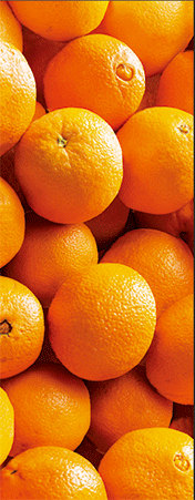 Pack of 5 x 3D Bookmarks LENTICULAR Book Marks Aussie Australian Theme Animals Souvenirs - fair-dinkum-gifts