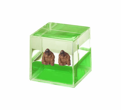 Oily Water Cubes Aussie Gifts Souvenirs Paperweights Coloured Liquid with Floaters - fair-dinkum-gifts