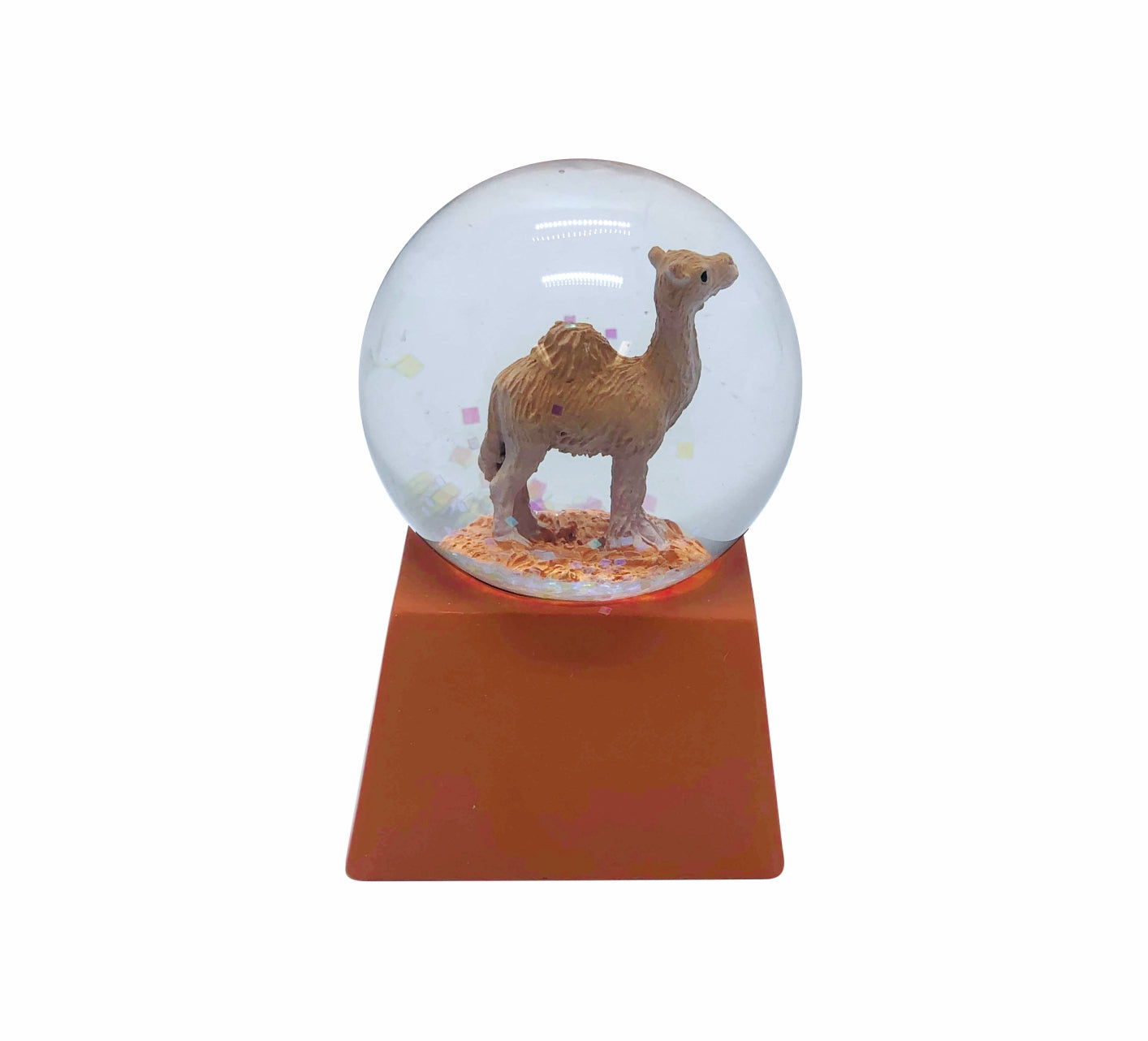 Waterball Glass Square Base 45mm Glitter Globe Aussie Gifts Souvenirs Australian Animals - fair-dinkum-gifts