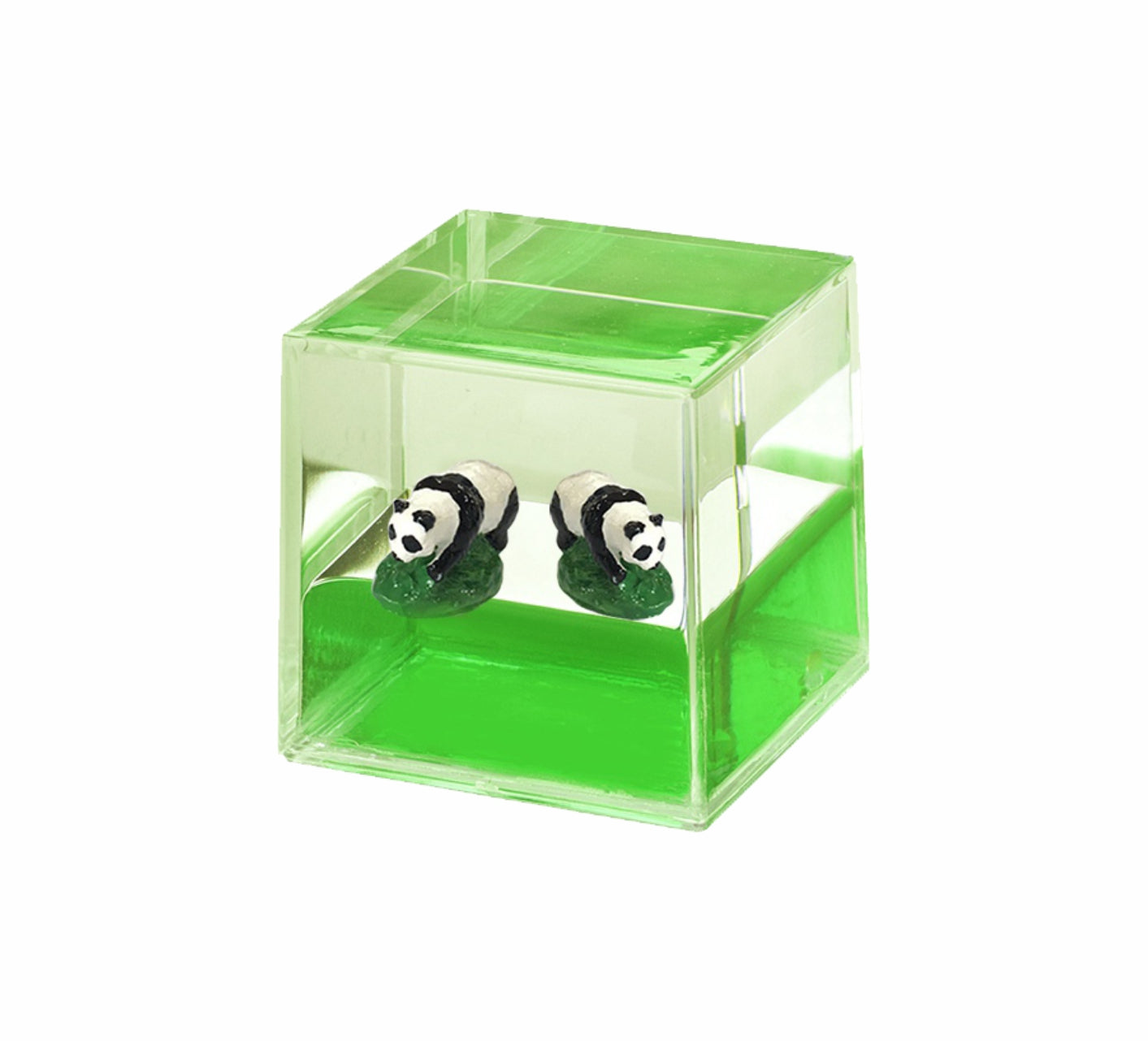 Oily Water Cubes Aussie Gifts Souvenirs Paperweights Coloured Liquid with Floaters - fair-dinkum-gifts