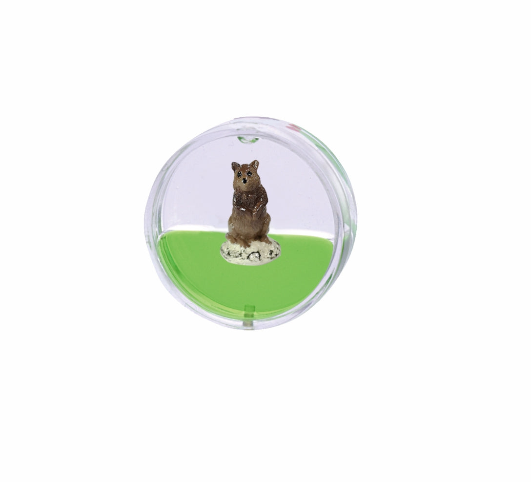 Oily Disc Fridge Magnets Floating Aussie Animals Snowman - fair-dinkum-gifts