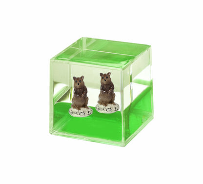 Oily Water Cubes Aussie Gifts Souvenirs Paperweights Coloured Liquid with Floaters - fair-dinkum-gifts