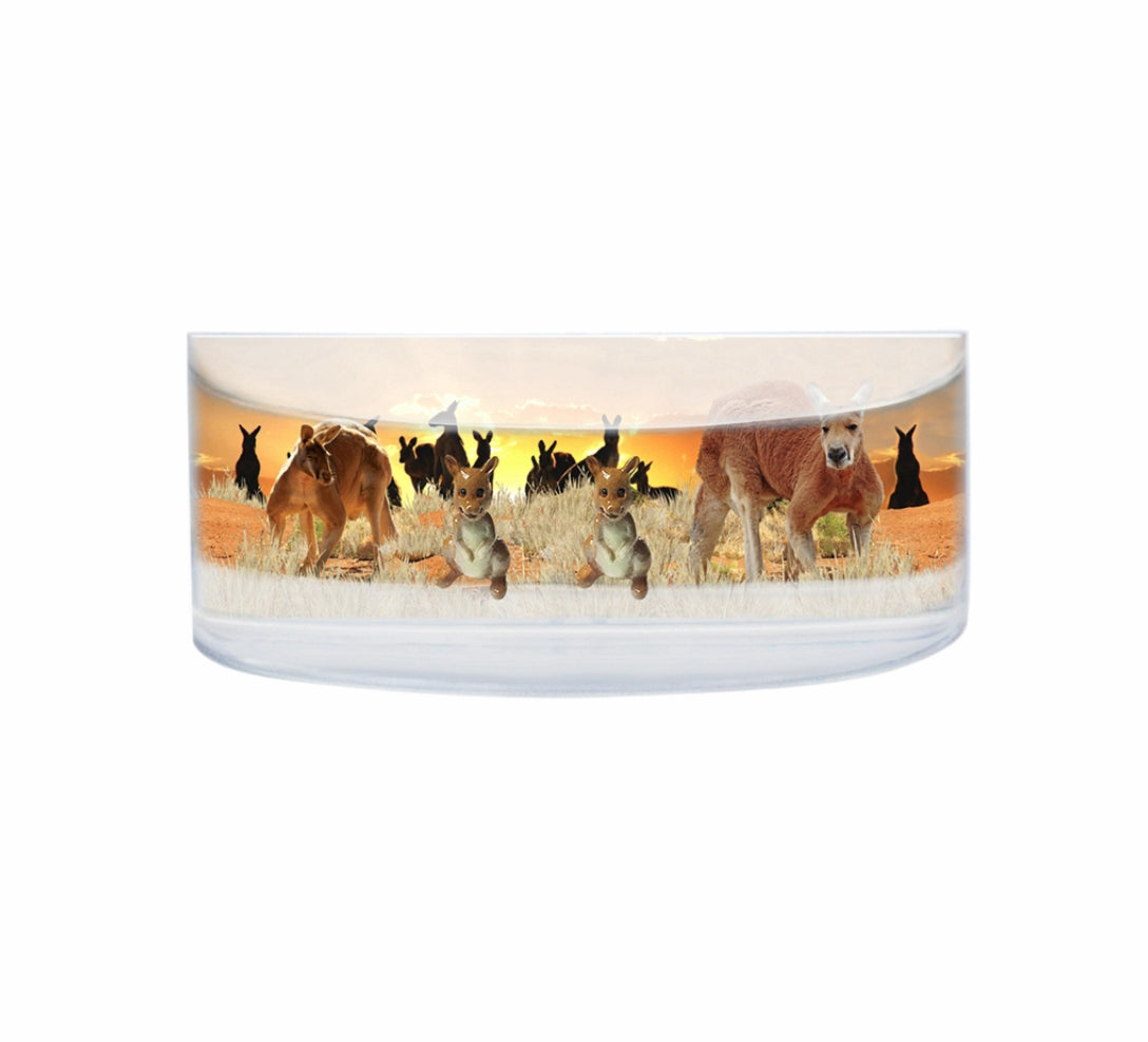 Oily Rectangular Curved Magnets Aussie Designs Australian Animals Gifts - fair-dinkum-gifts