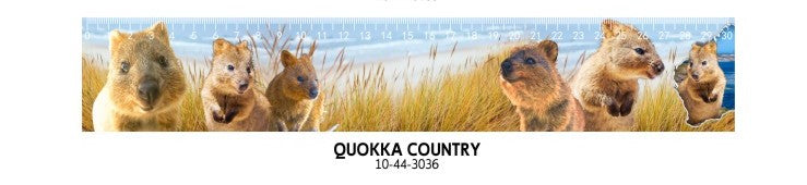 3D Printed Ruler Australian Designs