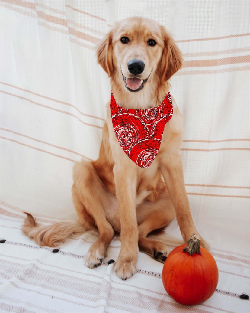 Doggie Bandanas - Gari Dari Designs