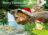 3D Printed Christmas Greeting Cards Aussie Australian Santa CLEARANCE - fair-dinkum-gifts