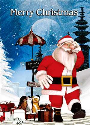 3D Printed Christmas Greeting Cards Aussie Australian Santa CLEARANCE - fair-dinkum-gifts