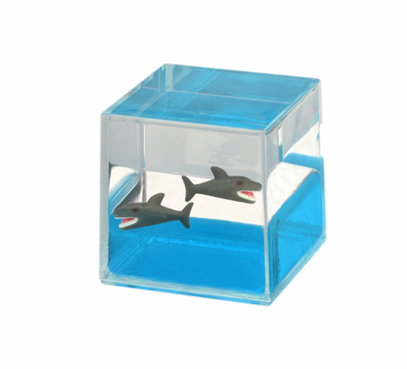 Oily Water Cubes Aussie Gifts Souvenirs Paperweights Coloured Liquid with Floaters - fair-dinkum-gifts