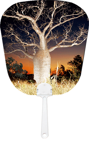 3D Fan Aussie Animals Australian Themes Souvenir Fans - fair-dinkum-gifts