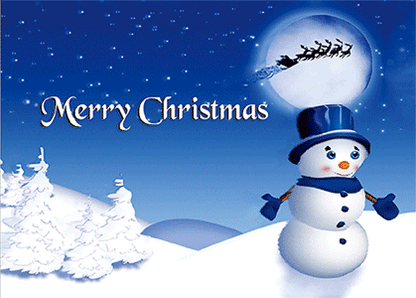 3D Printed Christmas Greeting Cards Aussie Australian Santa CLEARANCE - fair-dinkum-gifts