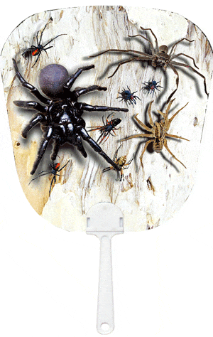 3D Fan Aussie Animals Australian Themes Souvenir Fans - fair-dinkum-gifts