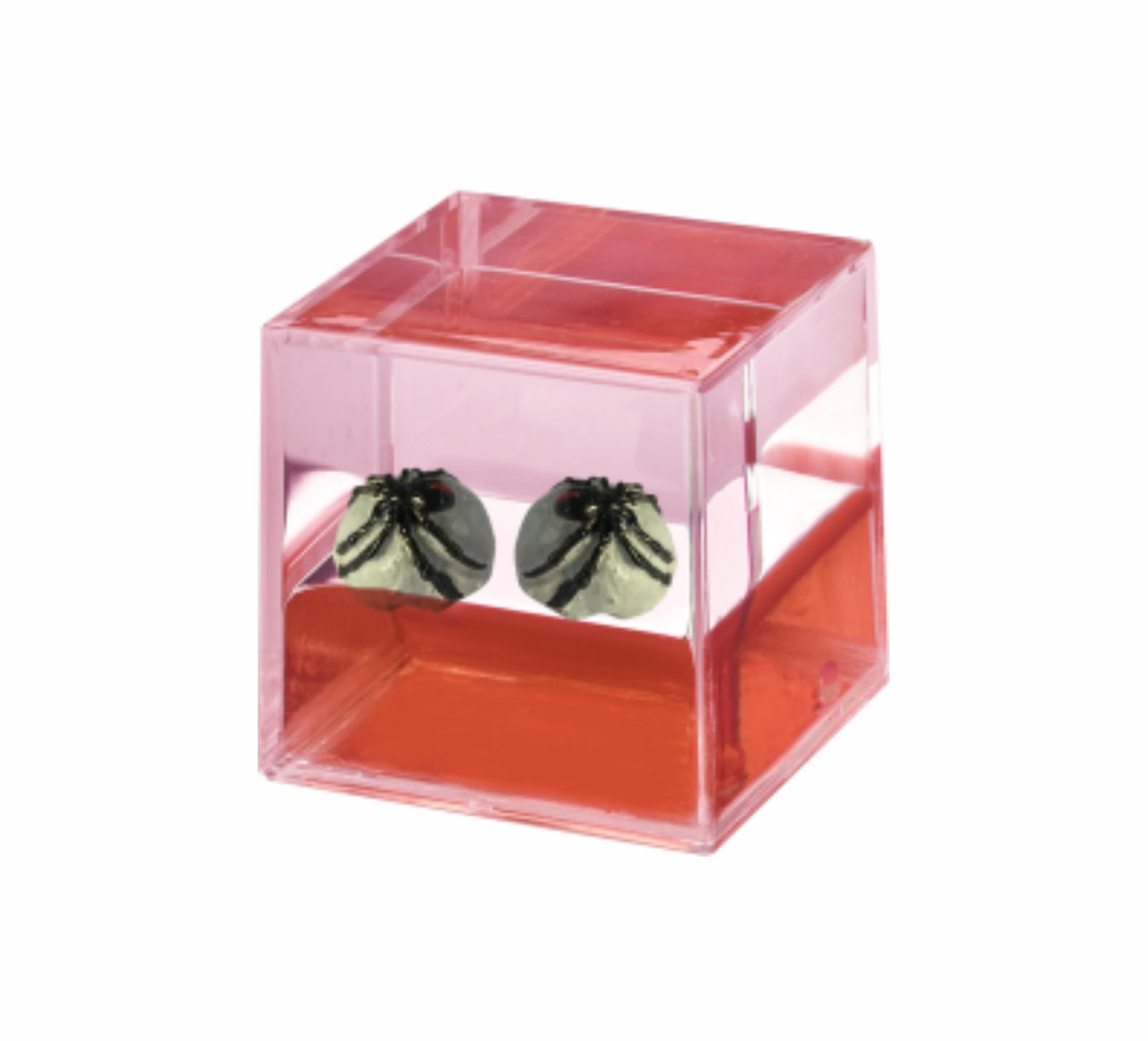 Oily Water Cubes Aussie Gifts Souvenirs Paperweights Coloured Liquid with Floaters - fair-dinkum-gifts