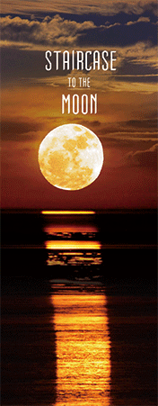 Pack of 5 x 3D Bookmarks LENTICULAR Book Marks Aussie Australian Theme Animals Souvenirs - fair-dinkum-gifts