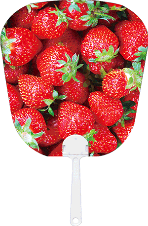 3D Fan Aussie Animals Australian Themes Souvenir Fans - fair-dinkum-gifts