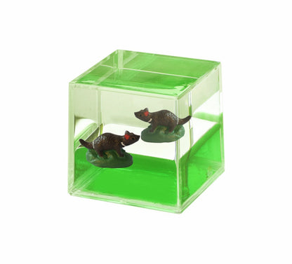 Oily Water Cubes Aussie Gifts Souvenirs Paperweights Coloured Liquid with Floaters - fair-dinkum-gifts