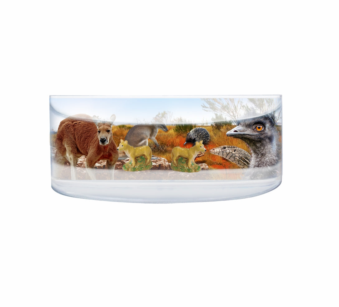 Oily Rectangular Curved Magnets Aussie Designs Australian Animals Gifts - fair-dinkum-gifts
