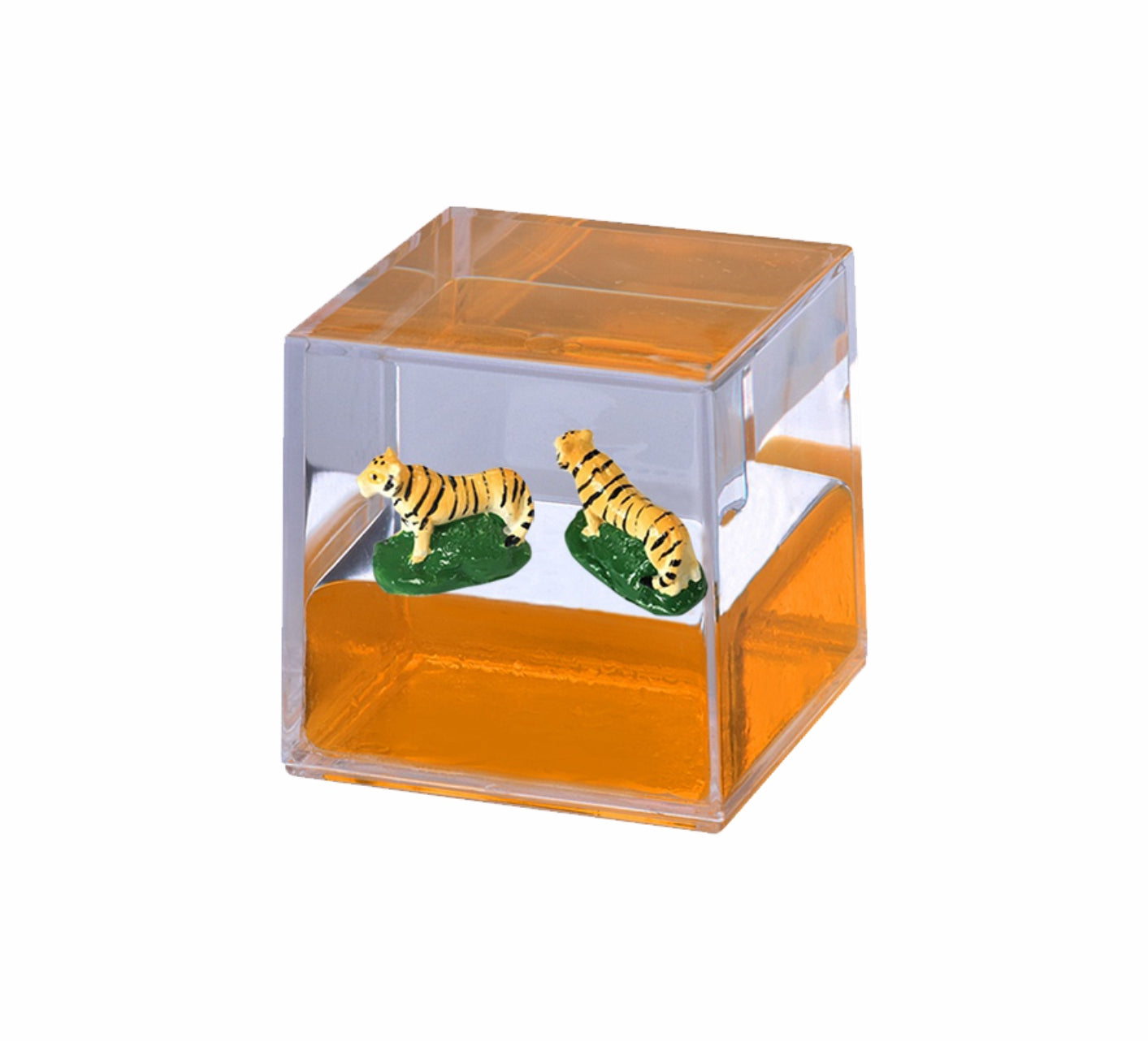 Oily Water Cubes Aussie Gifts Souvenirs Paperweights Coloured Liquid with Floaters - fair-dinkum-gifts