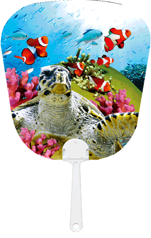 3D Fan Aussie Animals Australian Themes Souvenir Fans - fair-dinkum-gifts