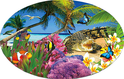 3D Oval Sticker Aussie Animals Australian Souvenirs Lenticular Bumper Stickers - fair-dinkum-gifts