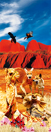 Pack of 5 x 3D Bookmarks LENTICULAR Book Marks Aussie Australian Theme Animals Souvenirs - fair-dinkum-gifts