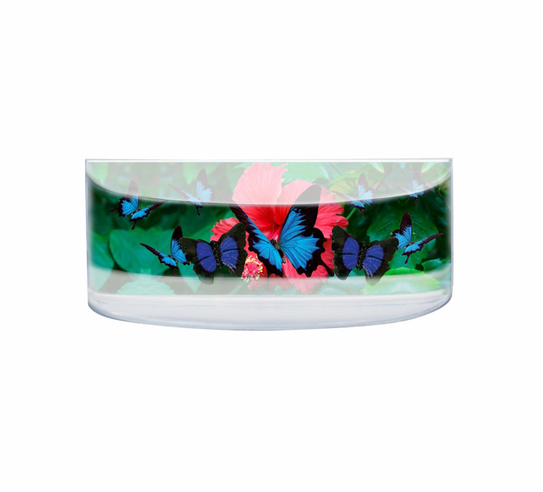 Oily Rectangular Curved Magnets Aussie Designs Australian Animals Gifts - fair-dinkum-gifts
