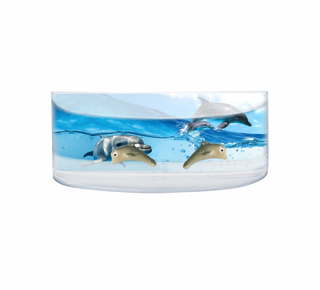 Oily Rectangular Curved Magnets Aussie Designs Australian Animals Gifts - fair-dinkum-gifts