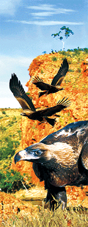 Pack of 5 x 3D Bookmarks LENTICULAR Book Marks Aussie Australian Theme Animals Souvenirs - fair-dinkum-gifts