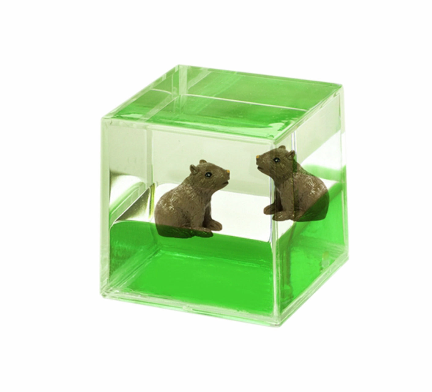 Oily Water Cubes Aussie Gifts Souvenirs Paperweights Coloured Liquid with Floaters - fair-dinkum-gifts