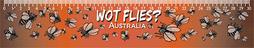 3D Ruler 30cm Aussie Animals Australian Native Designs Lenticular Printed - fair-dinkum-gifts