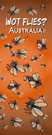 Pack of 5 x 3D Bookmarks LENTICULAR Book Marks Aussie Australian Theme Animals Souvenirs - fair-dinkum-gifts