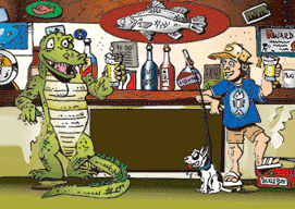 3D Magnets Group 1 - fair-dinkum-gifts