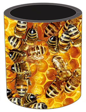 3D Stubby Holders Set of 4 Lenticular Printed Aussie Designs - 34 to choose from - fair-dinkum-gifts