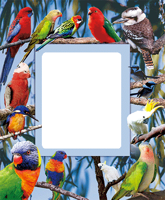 3D Photo Frame Magnets - Group 1 - fair-dinkum-gifts