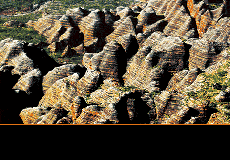 3D Magnets Group 3 - fair-dinkum-gifts