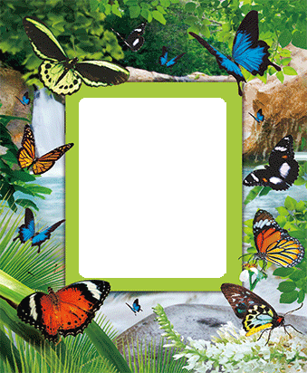 3D Photo Frame Magnets - Group 1 - fair-dinkum-gifts