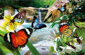 3D Magnets Group 3 - fair-dinkum-gifts