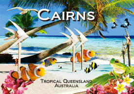 3D Magnets Group 3 - fair-dinkum-gifts