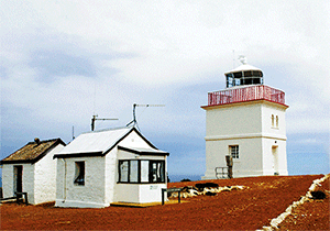 3D Magnets Group 2 - fair-dinkum-gifts