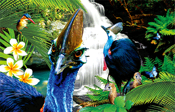 3D Postcard Aussie Themes Australian Animals Souvenir Group 2 - fair-dinkum-gifts