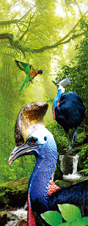 Pack of 5 x 3D Bookmarks LENTICULAR Book Marks Aussie Australian Theme Animals Souvenirs - fair-dinkum-gifts