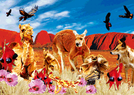 3D Magnets Group 3 - fair-dinkum-gifts