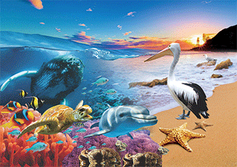 3D Magnets Group 1 - fair-dinkum-gifts