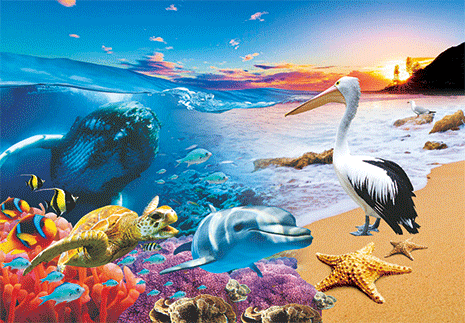3D Postcard Aussie Themes Australian Animals Souvenir Group 3 - fair-dinkum-gifts