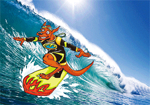 3D Postcard Aussie Themes Australian Animals Souvenir Group 3 - fair-dinkum-gifts